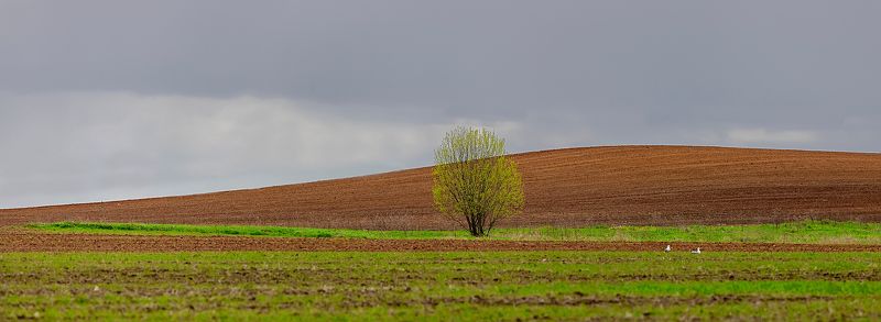 Весна фото превью