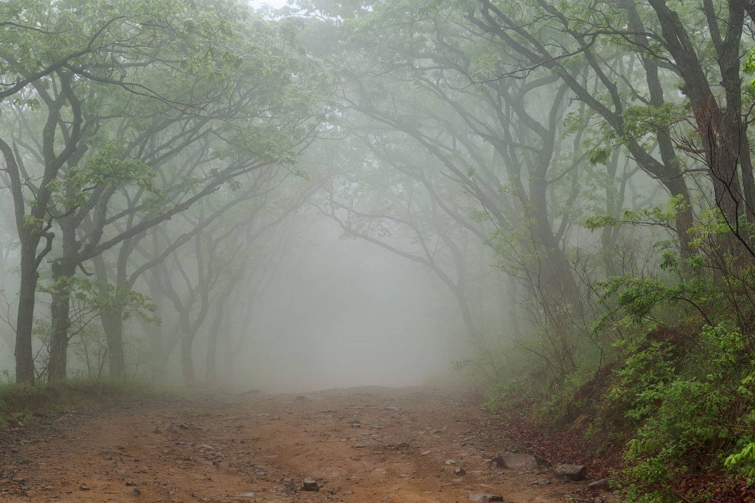 , Евгений Ерохин