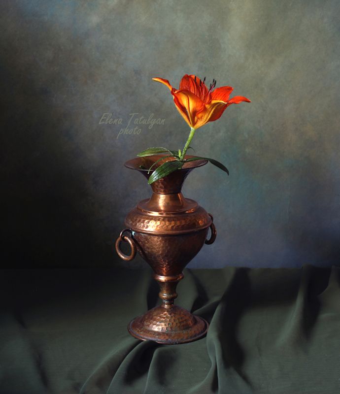 цветы, лилии Лилии фото превью