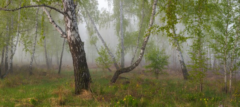 Танец весны фото превью