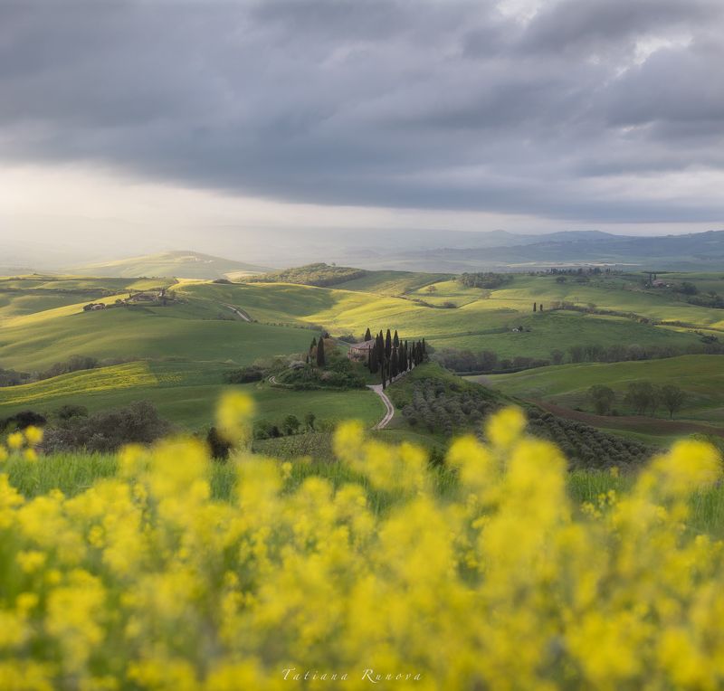 Утренний свет на полях Тосканы фото превью