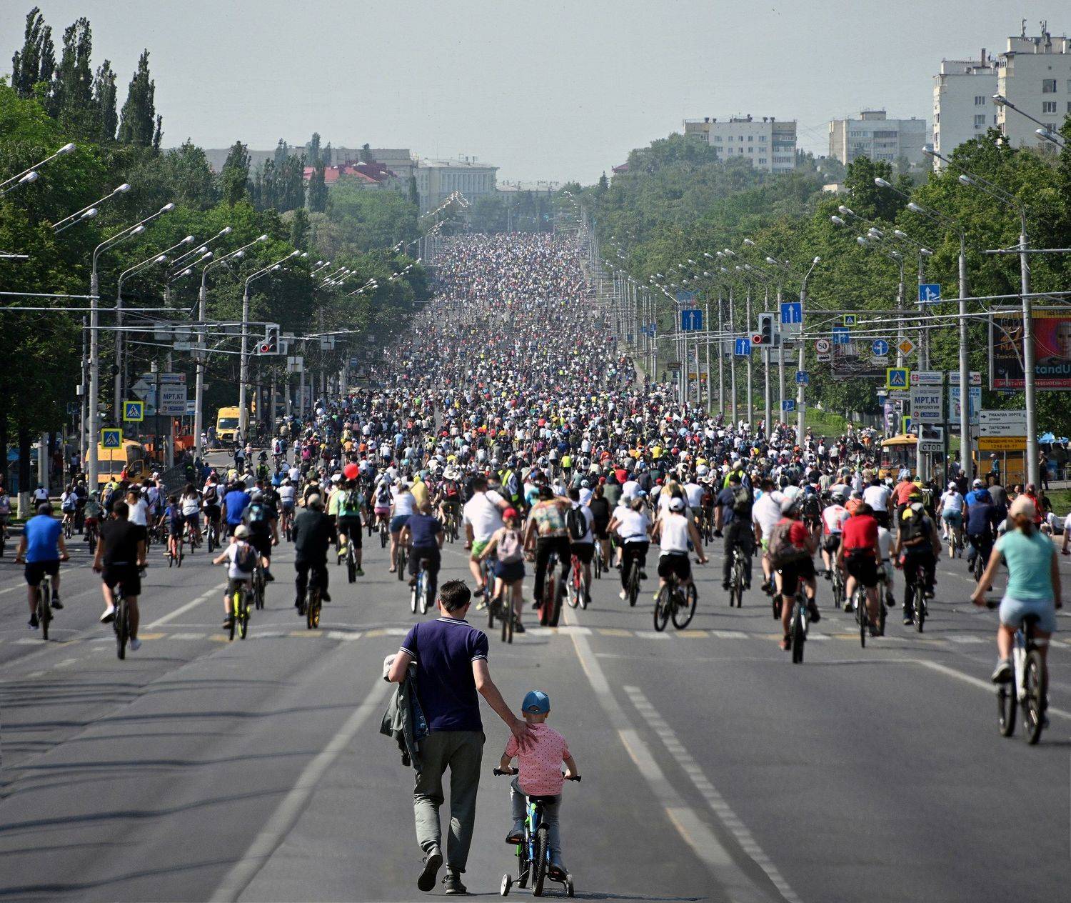 , Меднов Влад