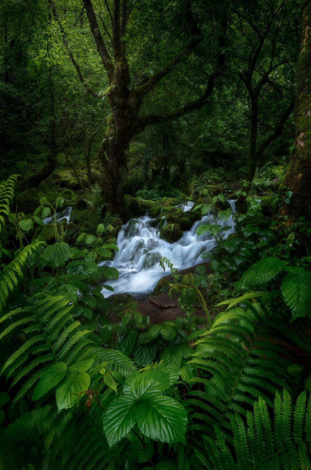 #Georgia #nature #outdoorphotography #water #river #spring #longexposure #rainy, Helen Vasilieva