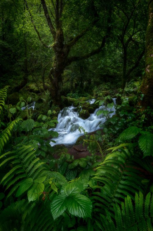 #Georgia #nature #outdoorphotography #water #river #spring #longexposure #rainy Shurubumu, Georgia. фото превью