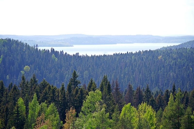 Карелия: гора Хийденвуори. Вид на Валаам. фото превью