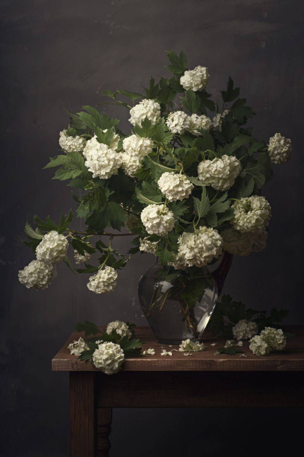 , Максим Вышарь