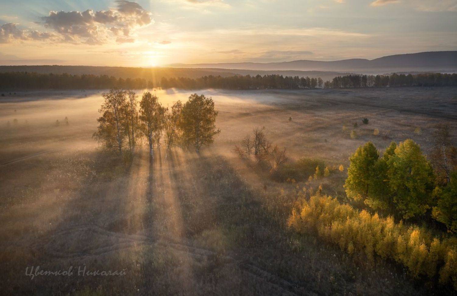 туман рассвет, Николай Цветков