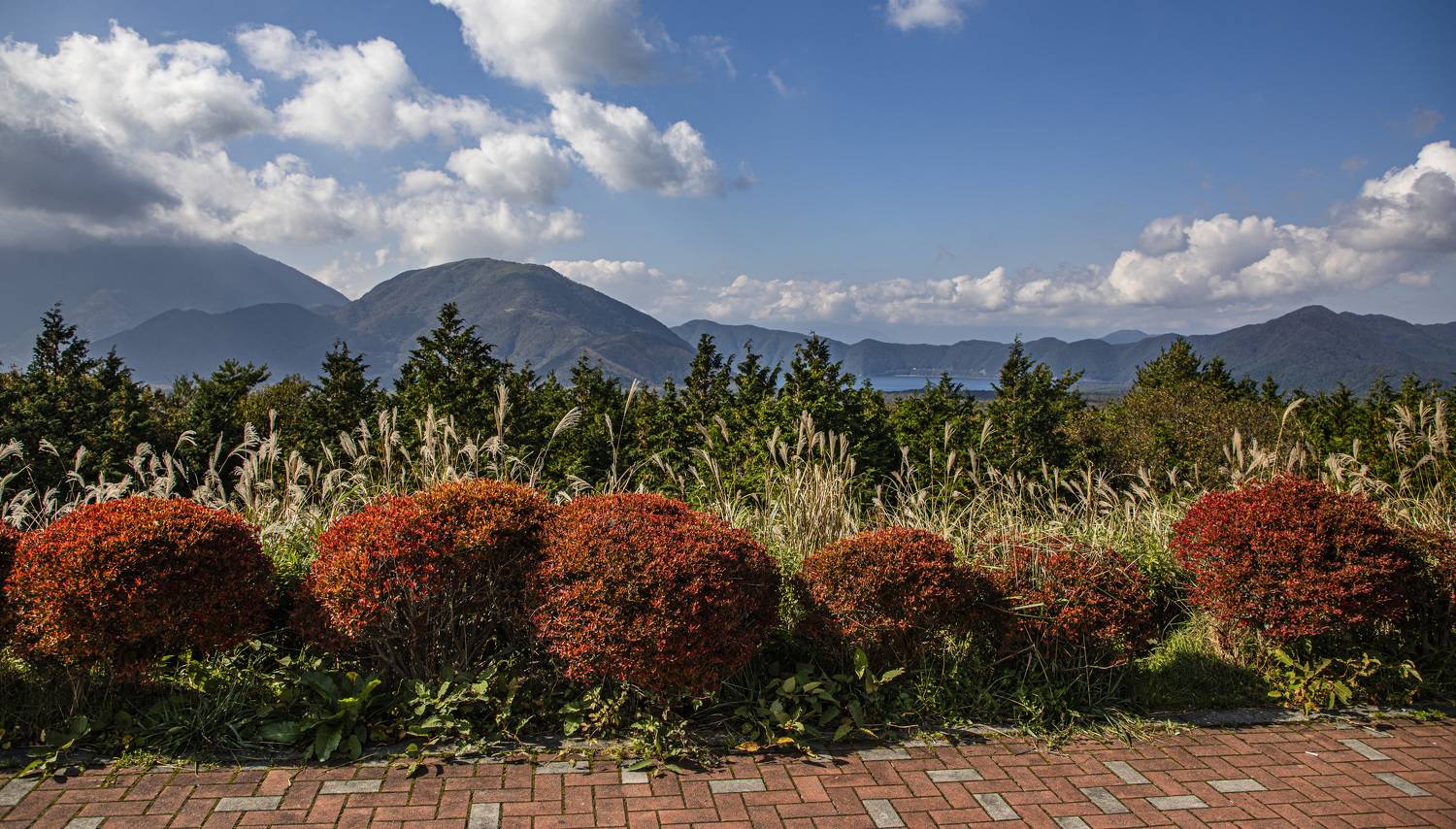 Япония, Сергей