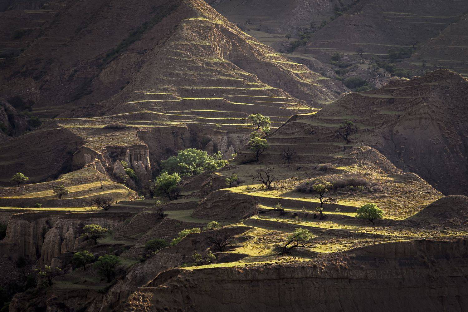 дагестан, Елена Гусева