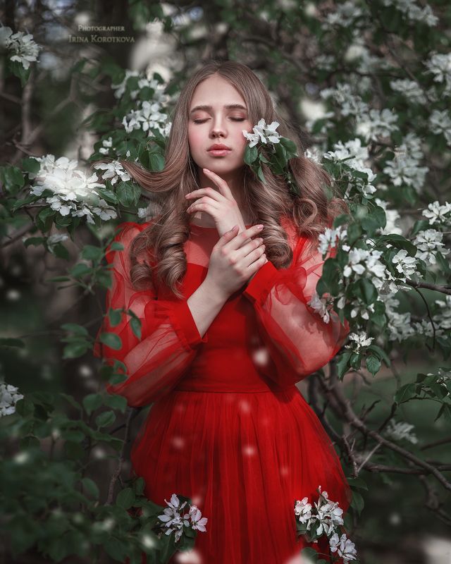 фото превью