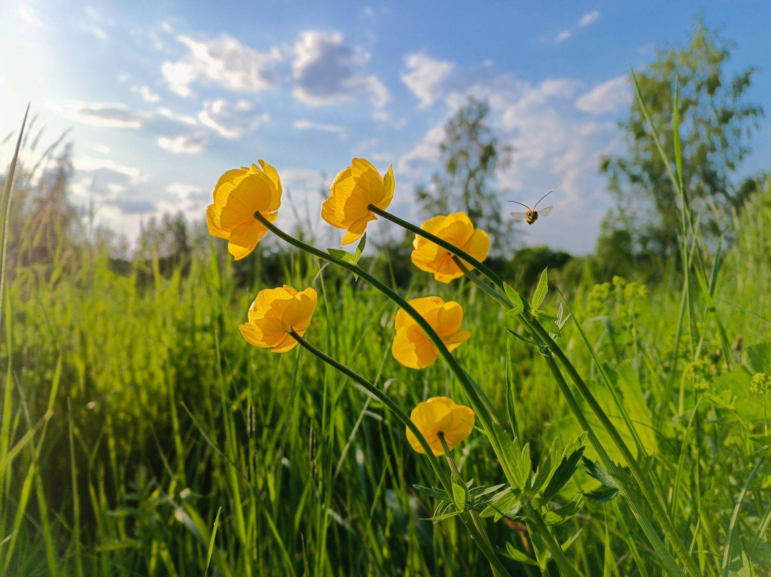 , Светлана Кондрашова