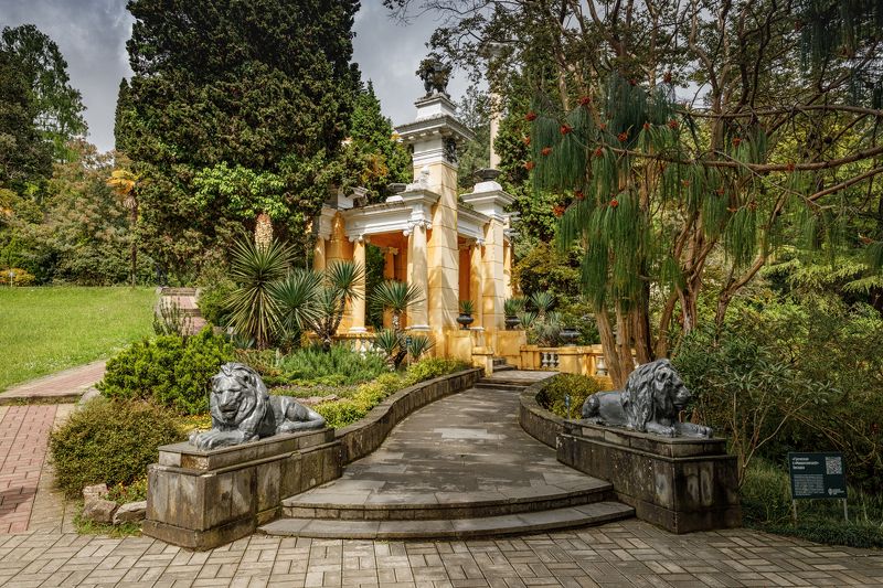 * * * фото превью