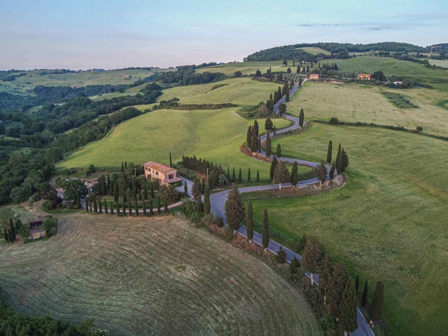 , Максимова Дария