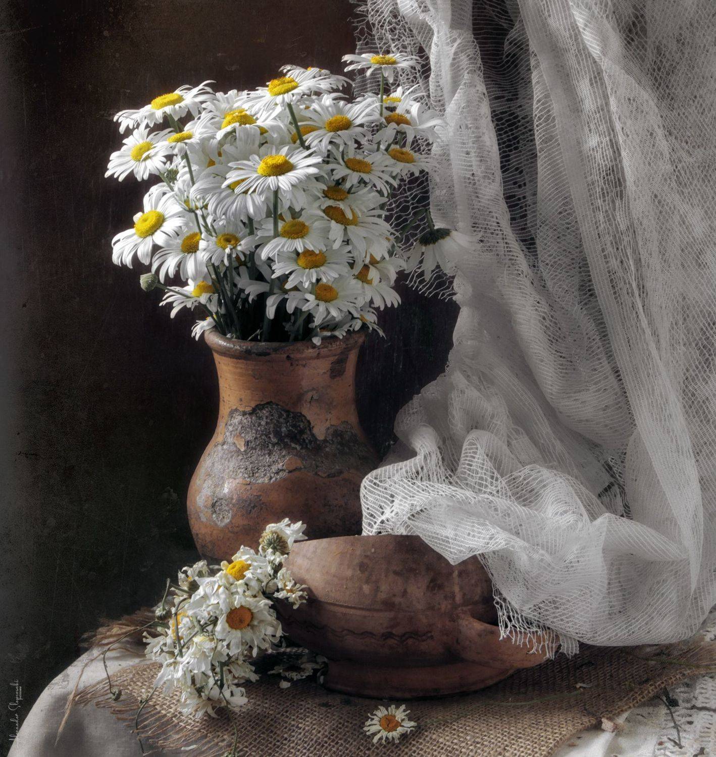 , Alexander Slepcowski