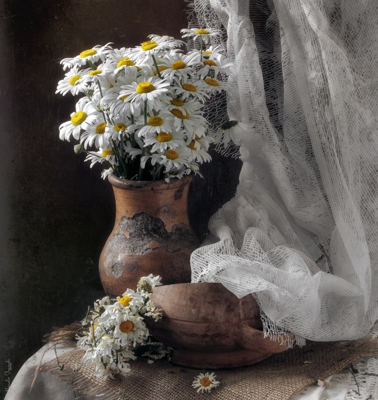 *** фото превью