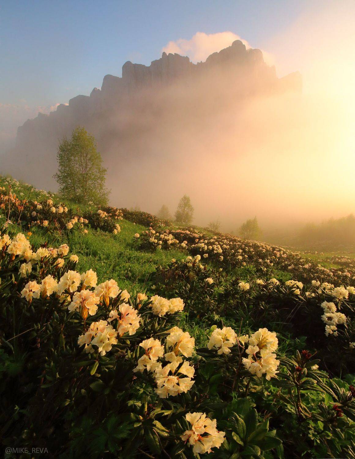 , Михаил Рева