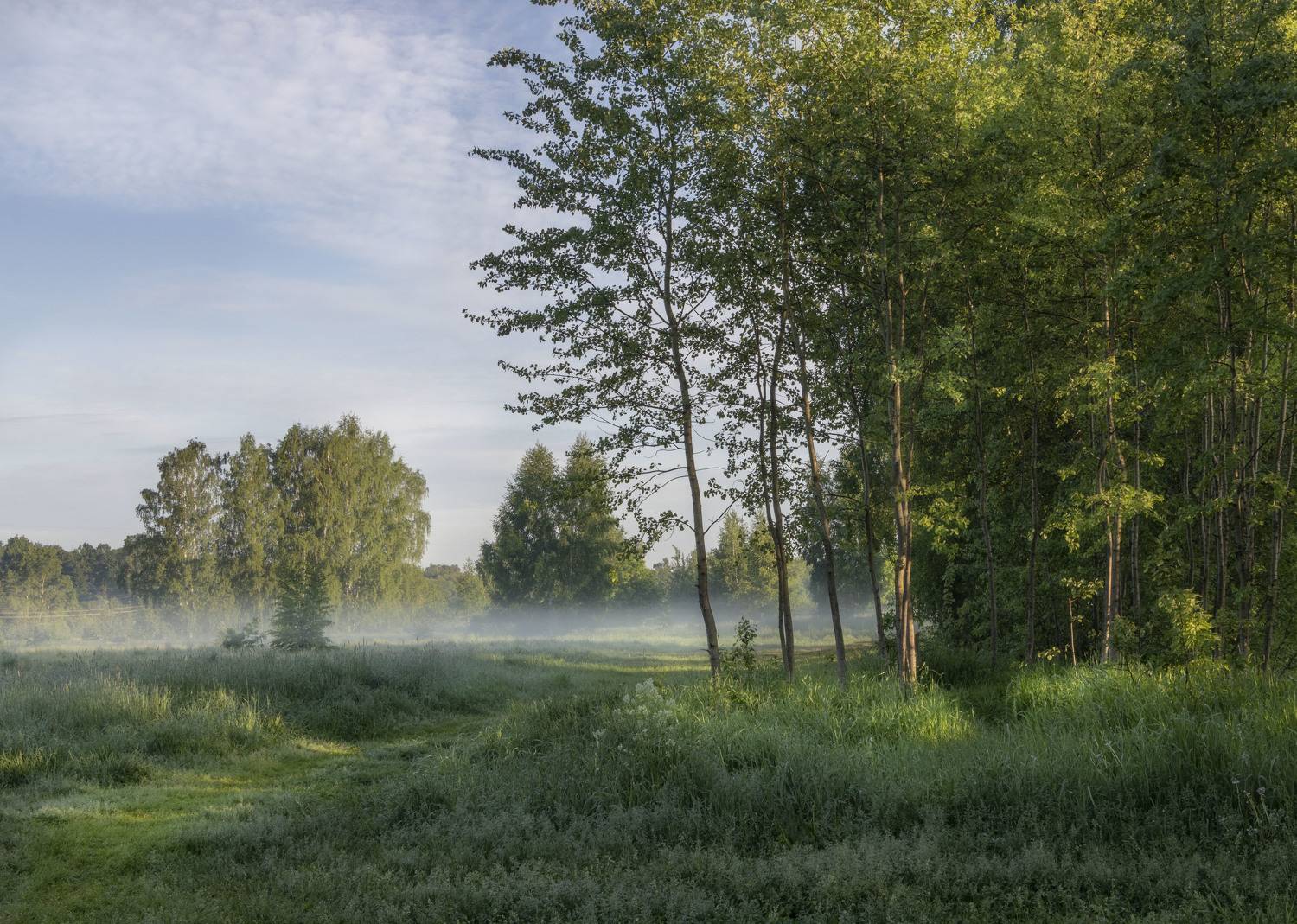 утро, туман, Olga Bonina