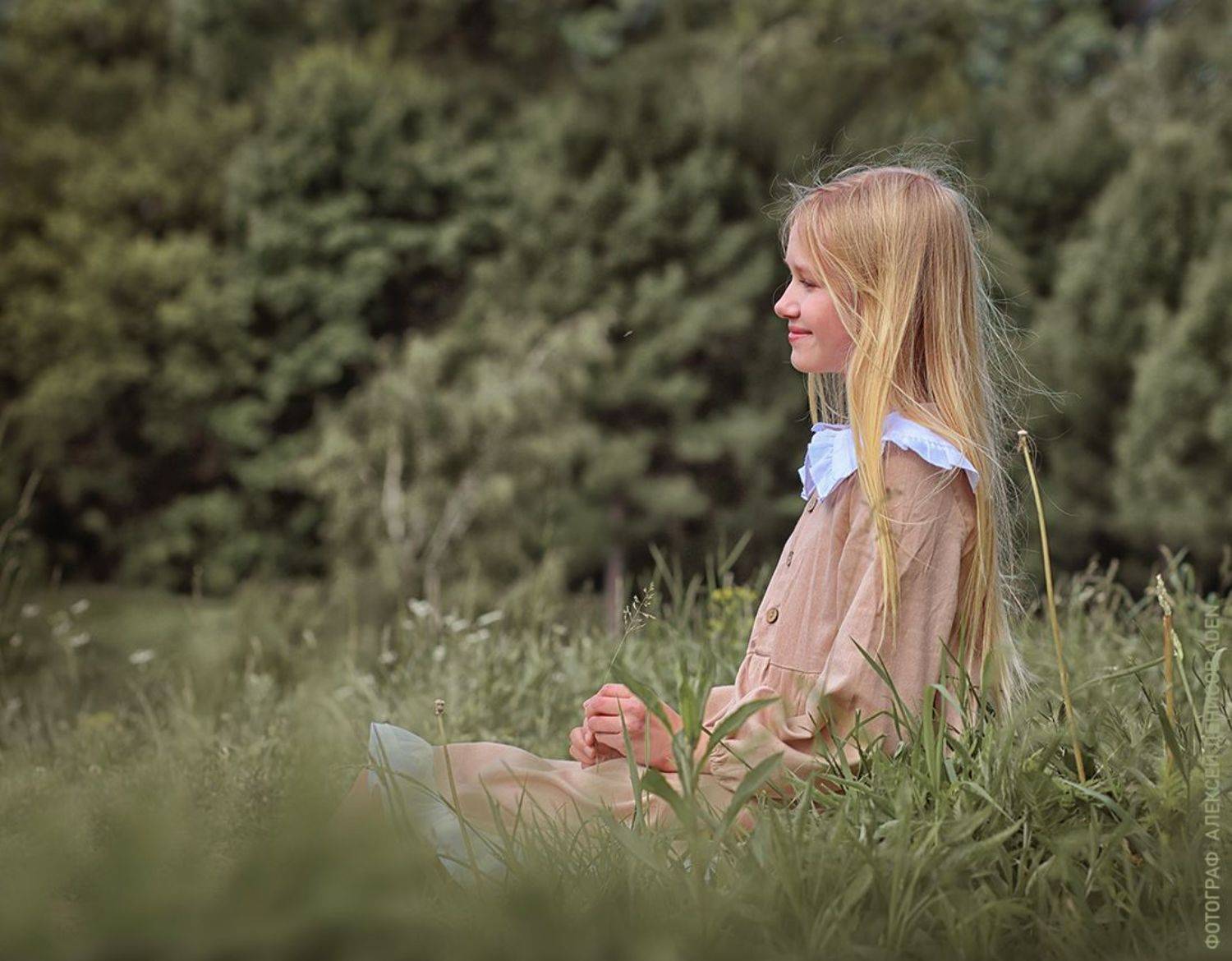 , Алексей Денисов