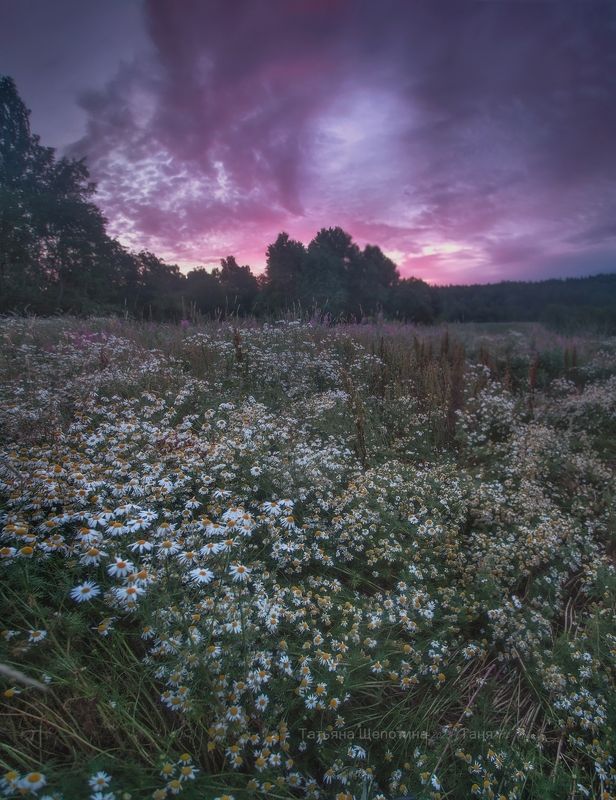 пейзаж, ленобласть, карельский, ленинградская область Не разгорелся фото превью