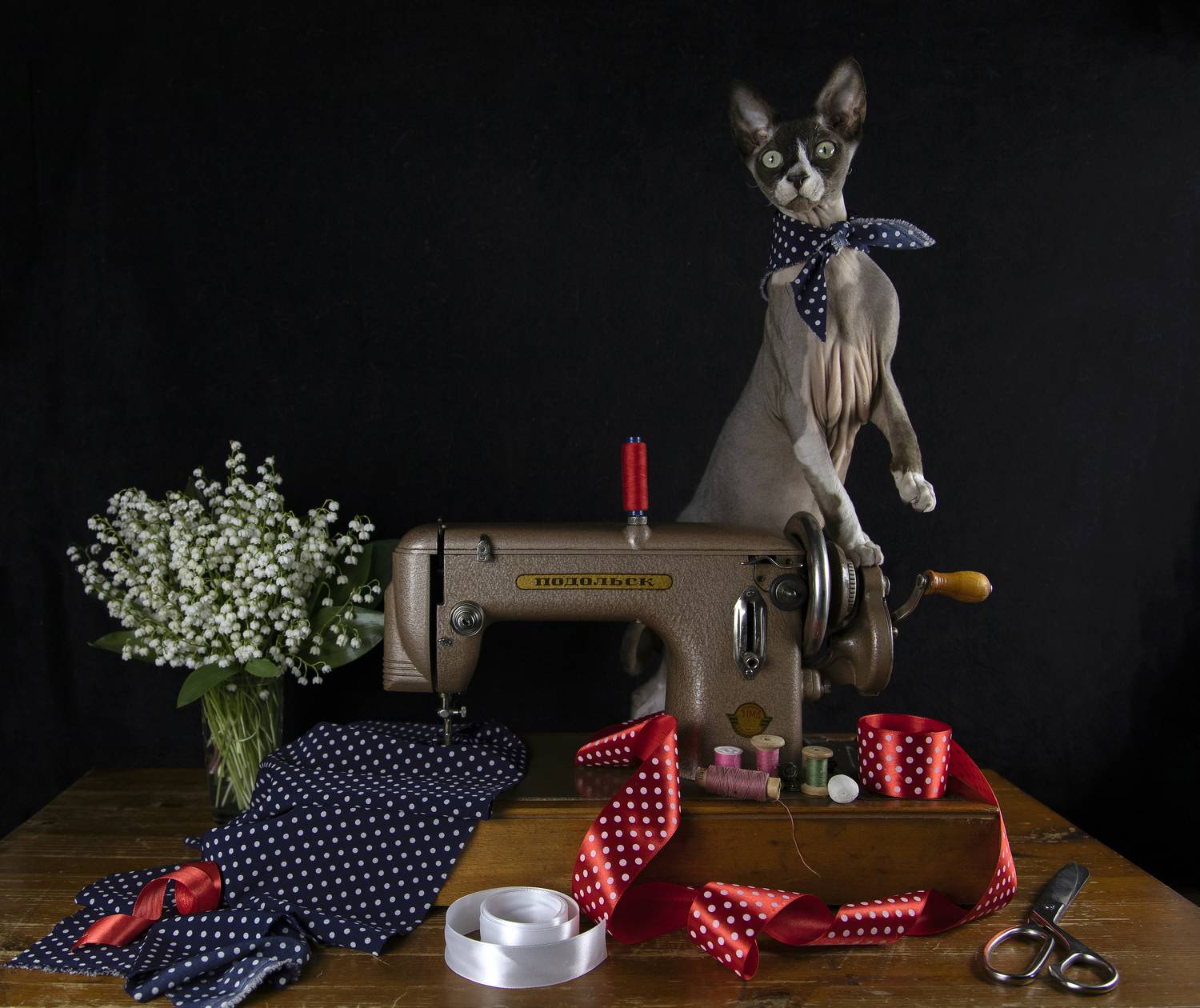натюрморт, швейная, машинка швейная, сфинкс, кот, швей, Татьяна Феденкова
