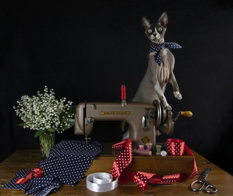 натюрморт, швейная, машинка швейная, сфинкс, кот, швей Швей:) фото превью