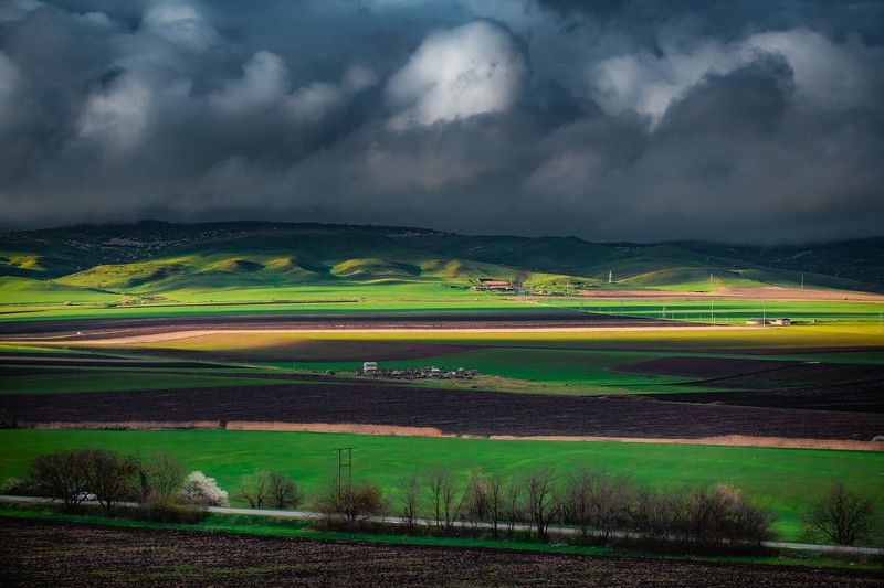 Весенние поля в окрестностях города Карабулак, Ингушетия фото превью