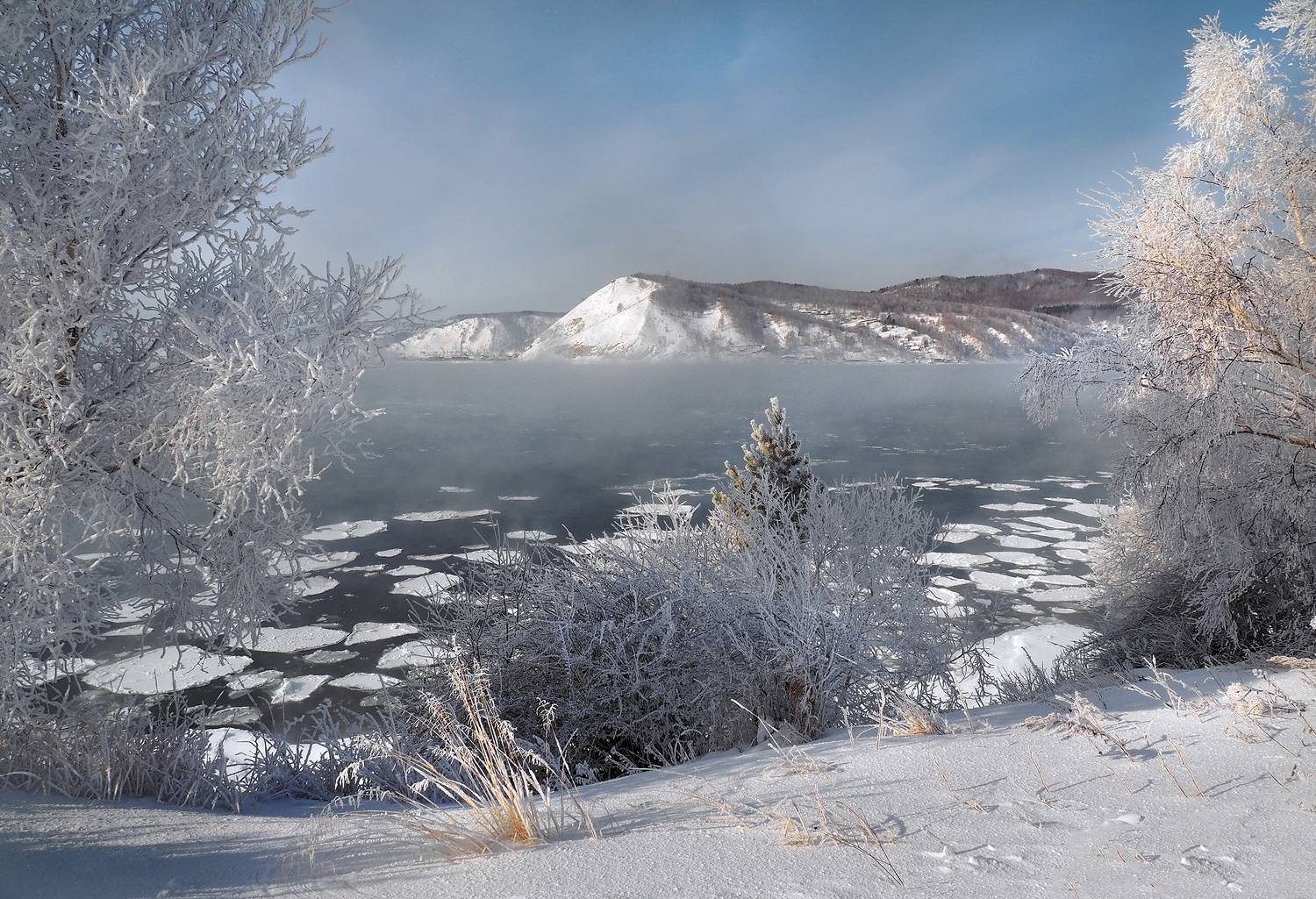, Александр Попов