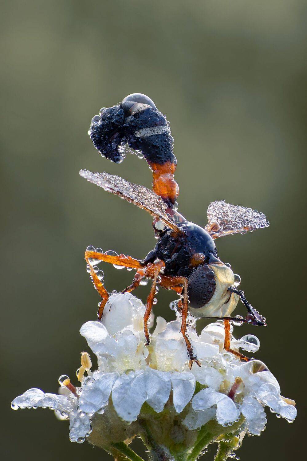 , Кузнецов Дмитрий