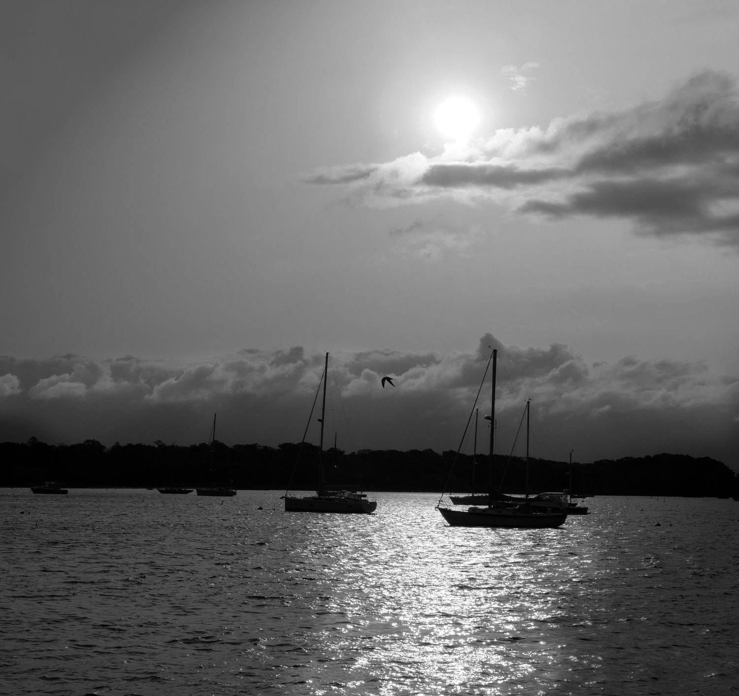 перспектива у воды, isamonov