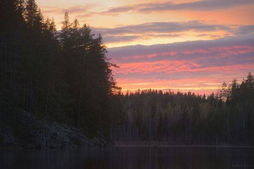 Вечерний лес