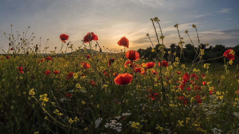 Поле притяжения фото превью