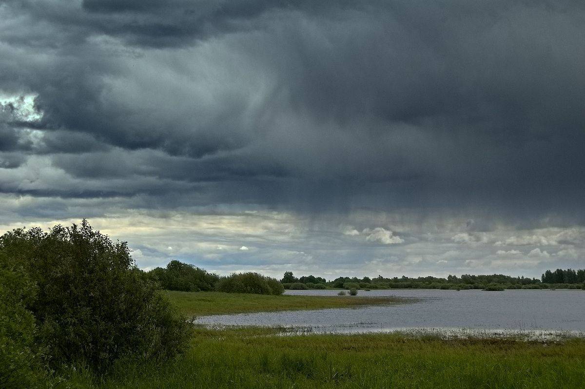 , Николаев Владимир