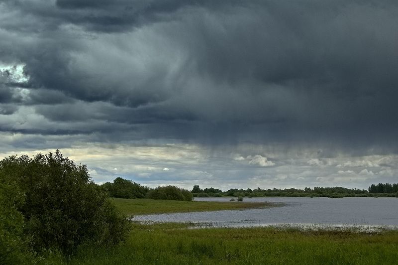 Дожди... фото превью