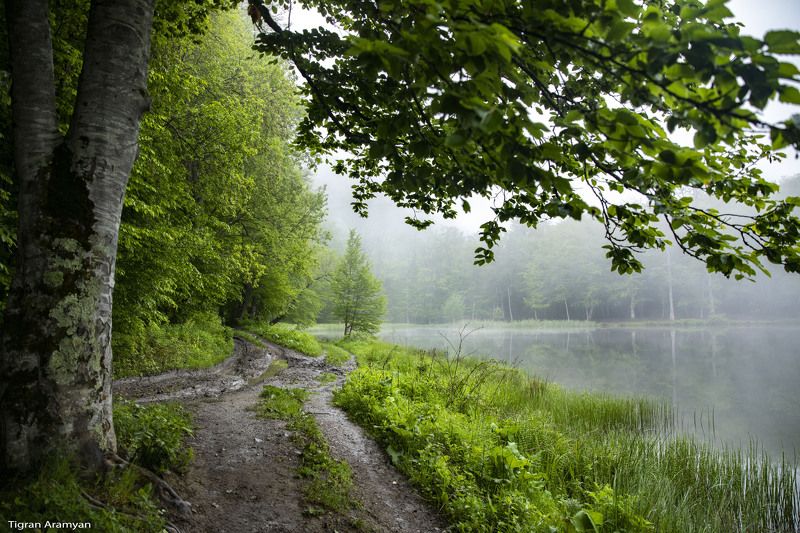 Armenia фото превью