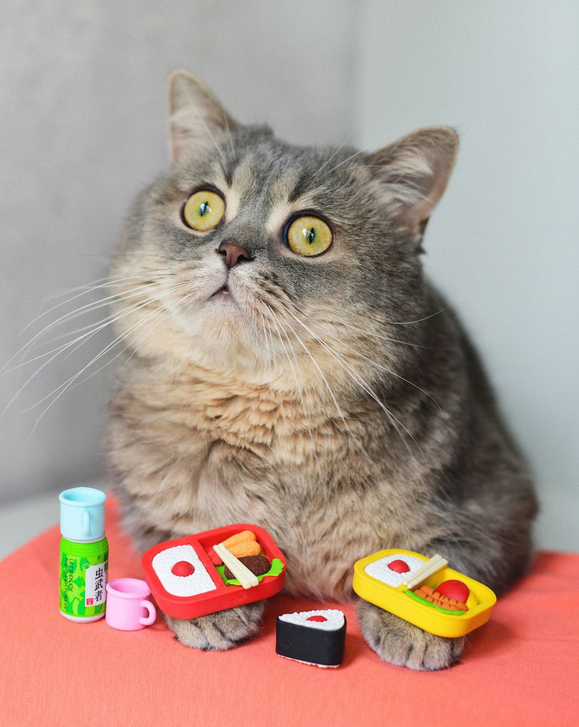 , Божена Пучко