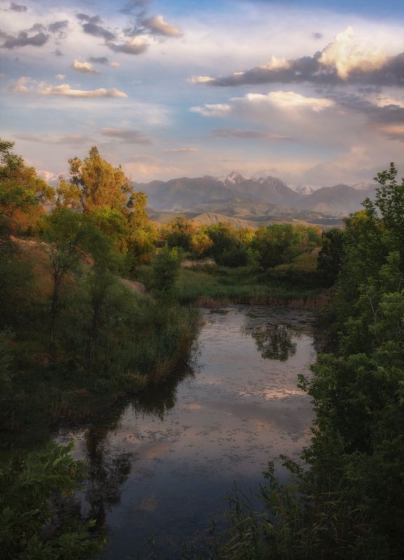 заводь озеро пейзаж горы небо облака вечер лето природа свет цвет вода деревья фотография Тишина... фото превью