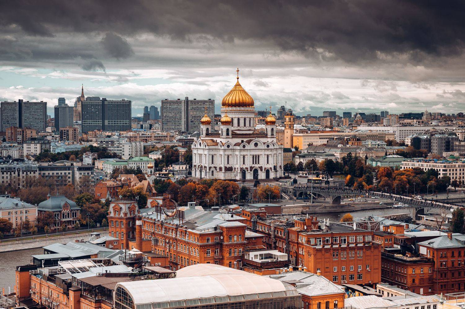 , Трепольский Дмитрий