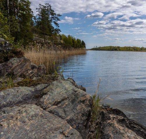 Тихая Ладога