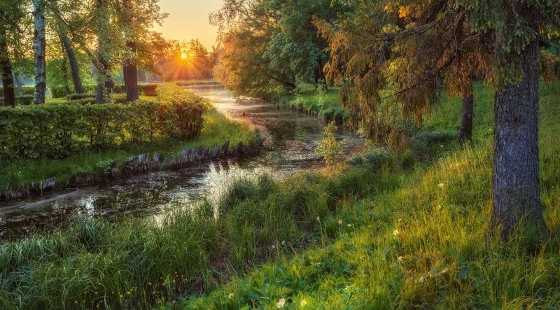 пруд солнце закат вечер вода парк Старый пруд фото превью