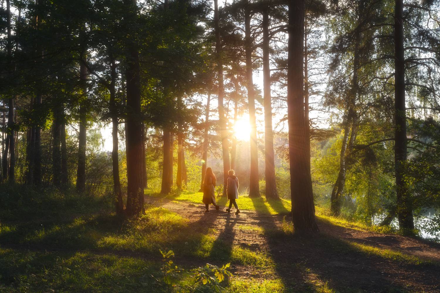пейзаж, закат, природа, лес, Московская область, люди в пейзаже, Мартыненко Дмитрий