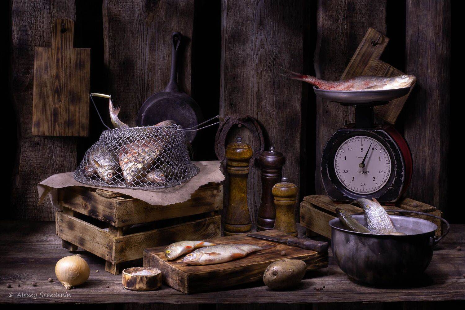 , Алексей Середенин