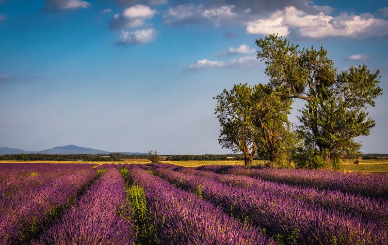 -- фото превью