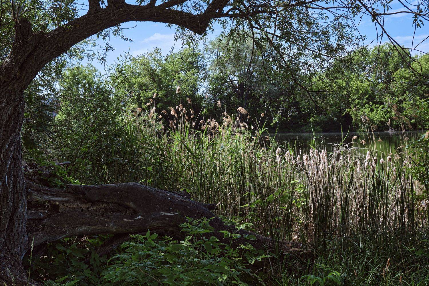 , Владимир Краснов