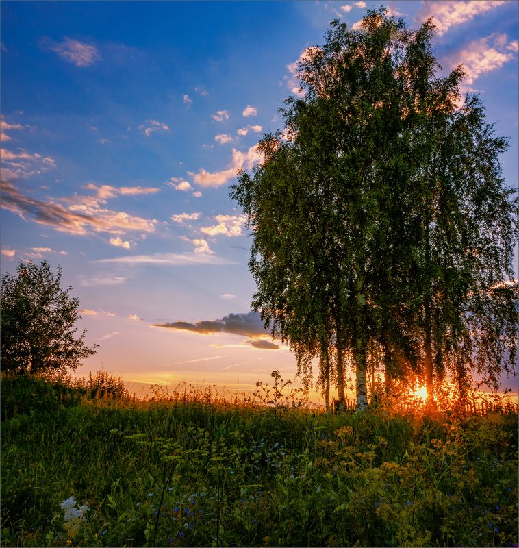 пейзаж, лето, вечер, деревня, свет, цвет, александр никитинский Вечерний свет... фото превью
