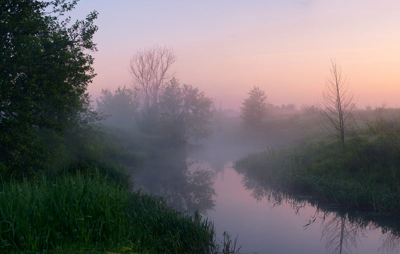 усманка, орлово, воронежская область * фото превью