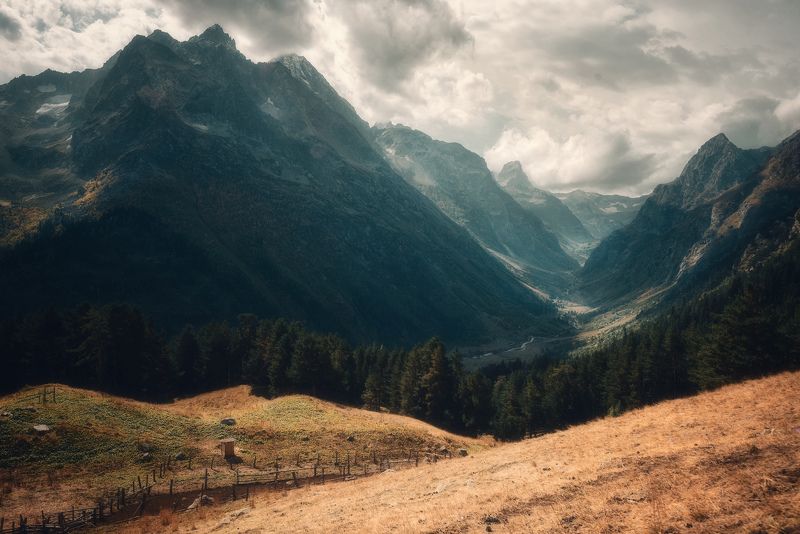 *** фото превью