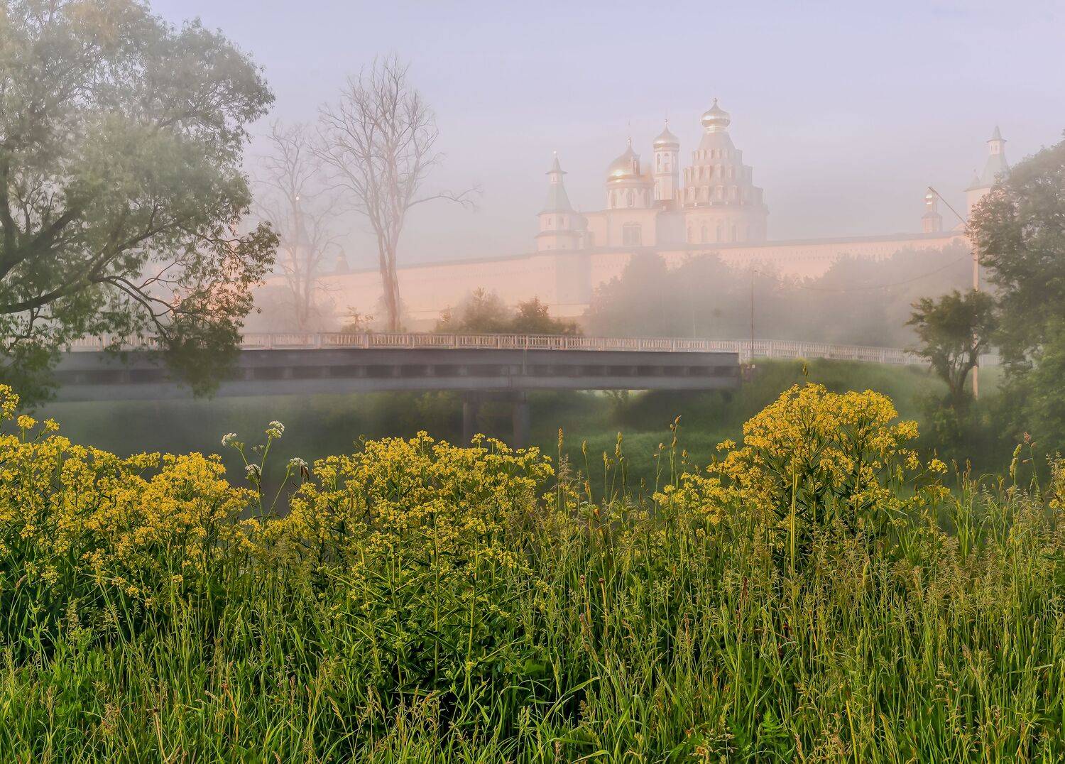 новый иерусалим. на троицу. утро-туманное..., Бирюков Вячеслав