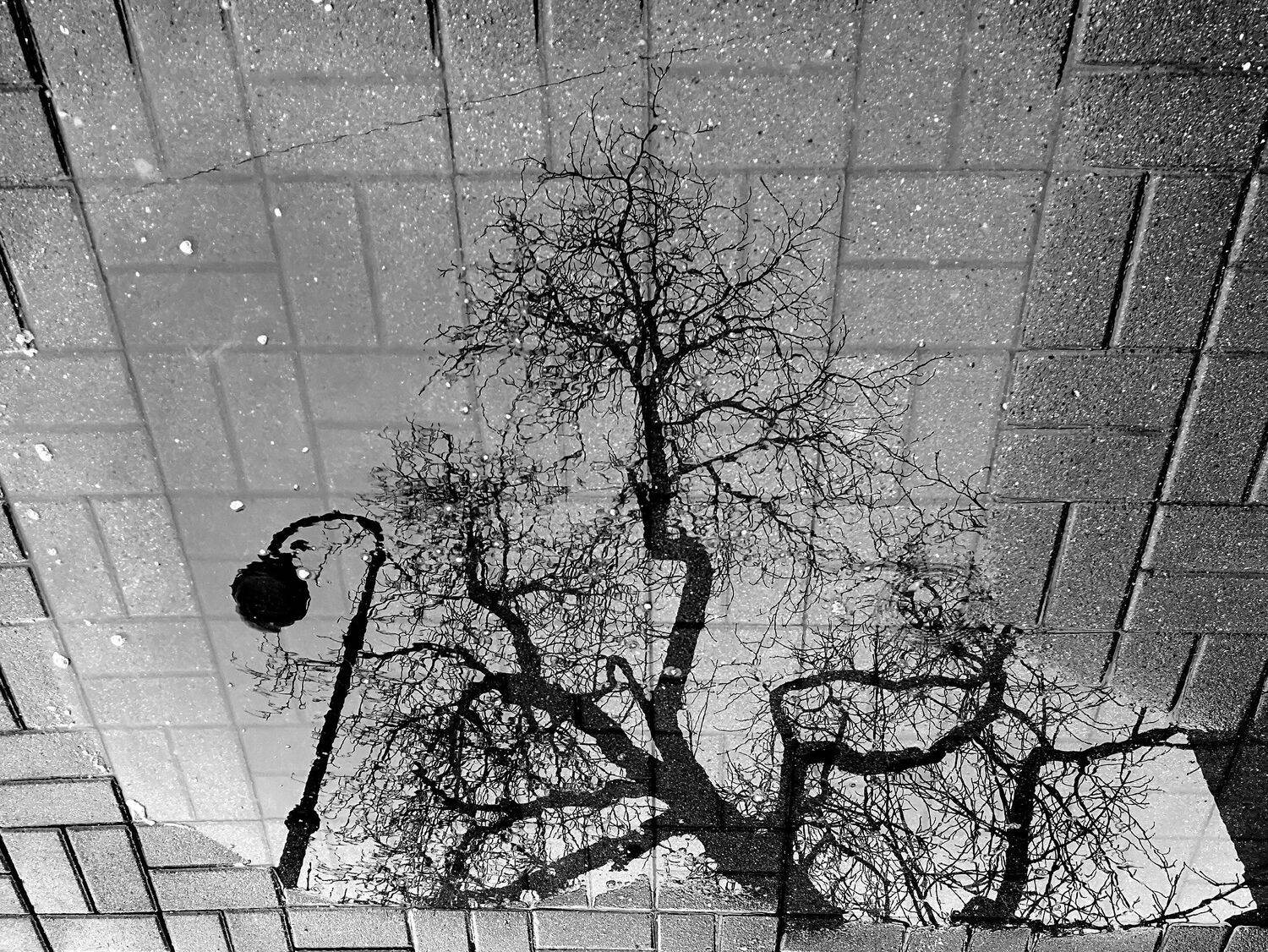 , Антон Лаба