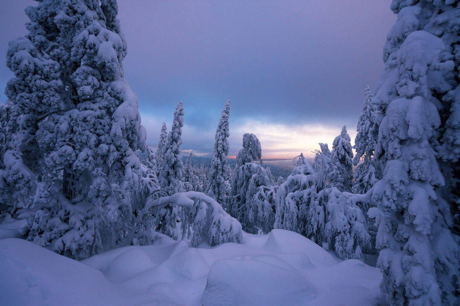 , Андрей Шарапов