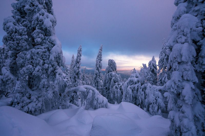 ******* фото превью